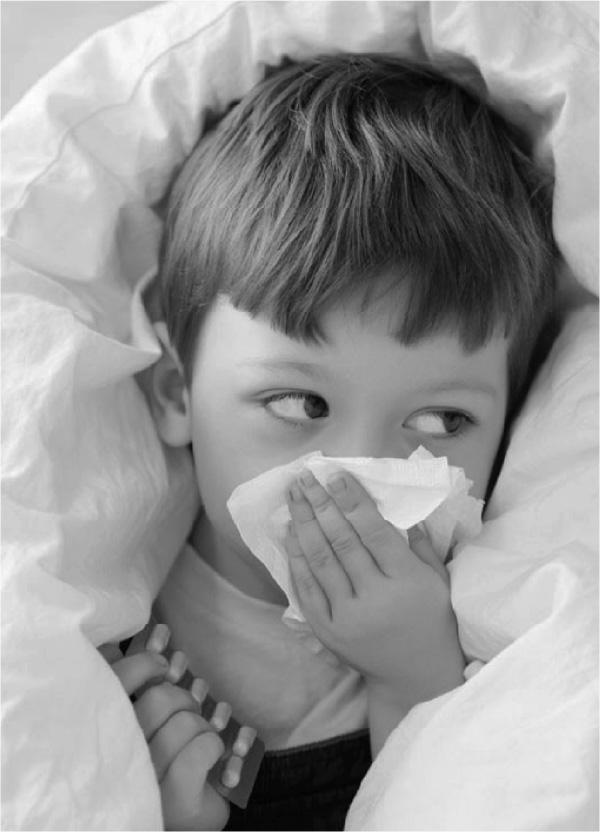 dctpro features images