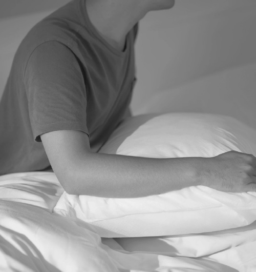 dctpro pillow protector